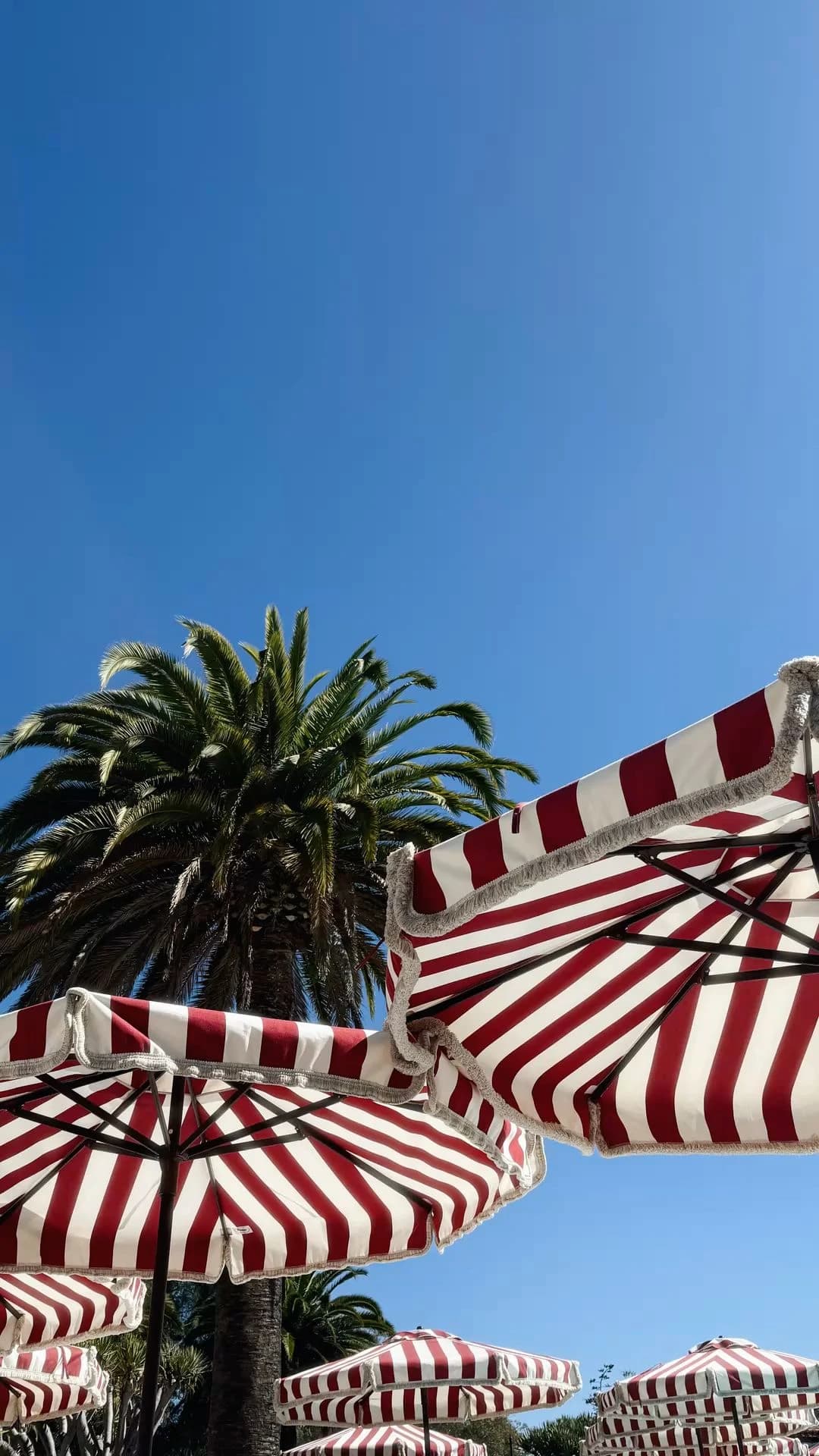 Sombrillas a rayas bajo el cielo de la Riviera