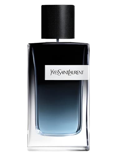 YSL Y M