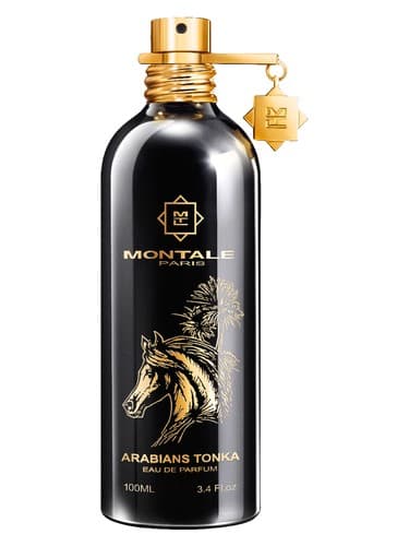 MONTALE ARABIANS TONKA U